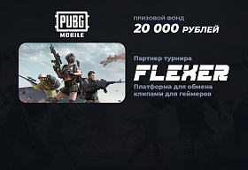 Турнир по PUBG Mobile пройдет при поддержке платформы Flexer